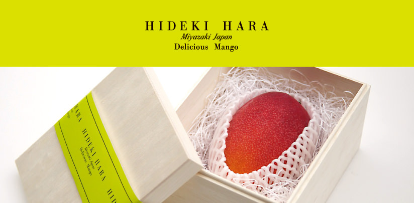 2013年完熟マンゴー