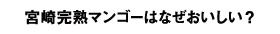 宮崎完熟マンゴーはなぜおいしい